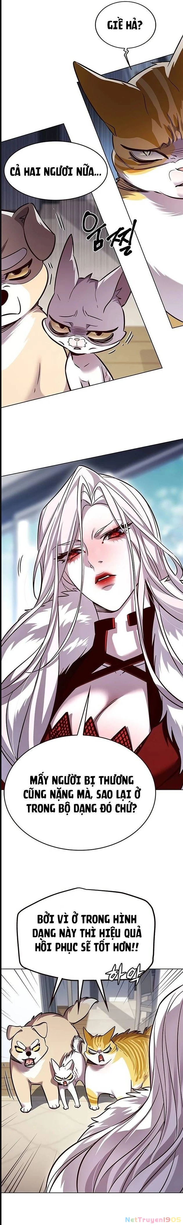 Cô Dâu Của Sói Trắng Chapter 322 - 23