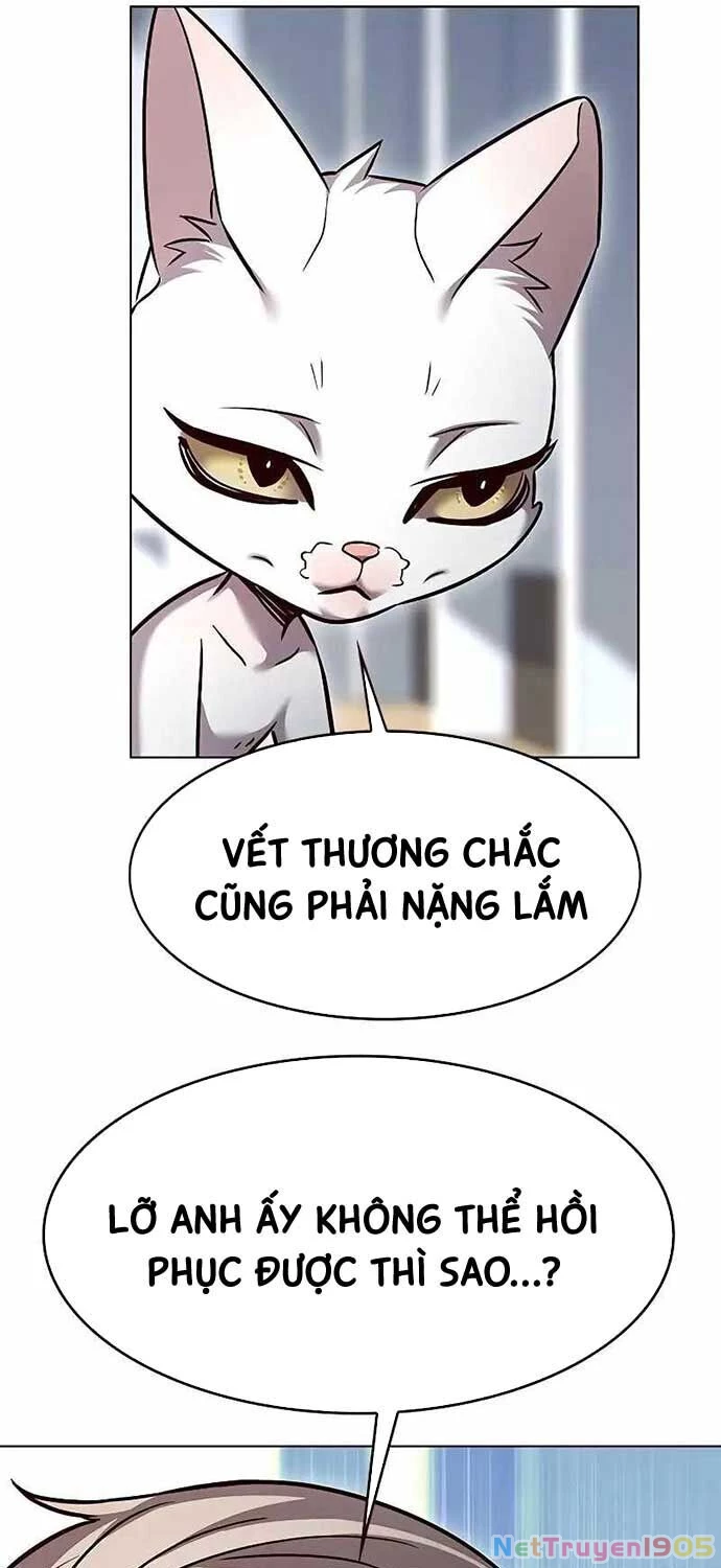 Cô Dâu Của Sói Trắng Chapter 323 - 11