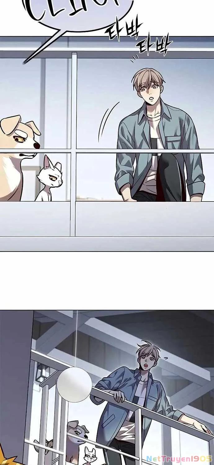 Cô Dâu Của Sói Trắng Chapter 323 - 13