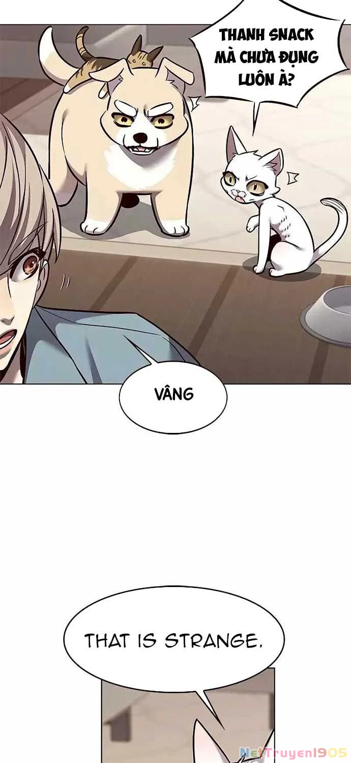 Cô Dâu Của Sói Trắng Chapter 323 - 21