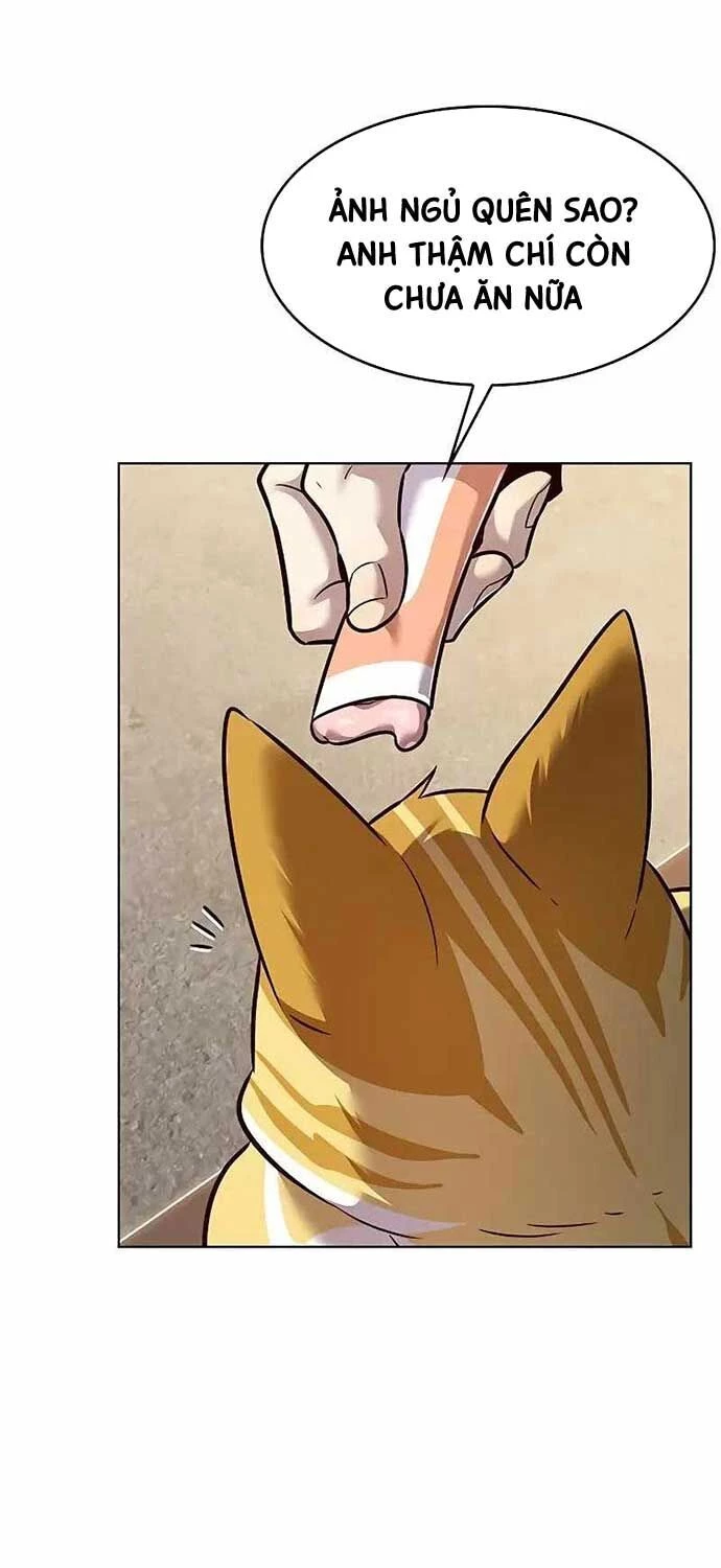 Cô Dâu Của Sói Trắng Chapter 323 - 27