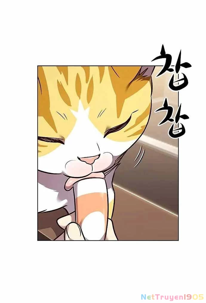 Cô Dâu Của Sói Trắng Chapter 323 - 30