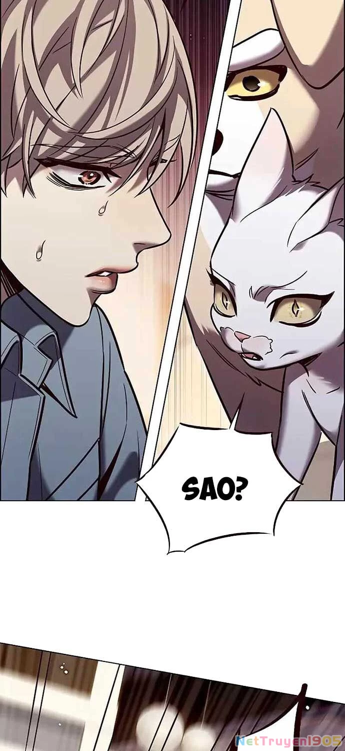 Cô Dâu Của Sói Trắng Chapter 323 - 44