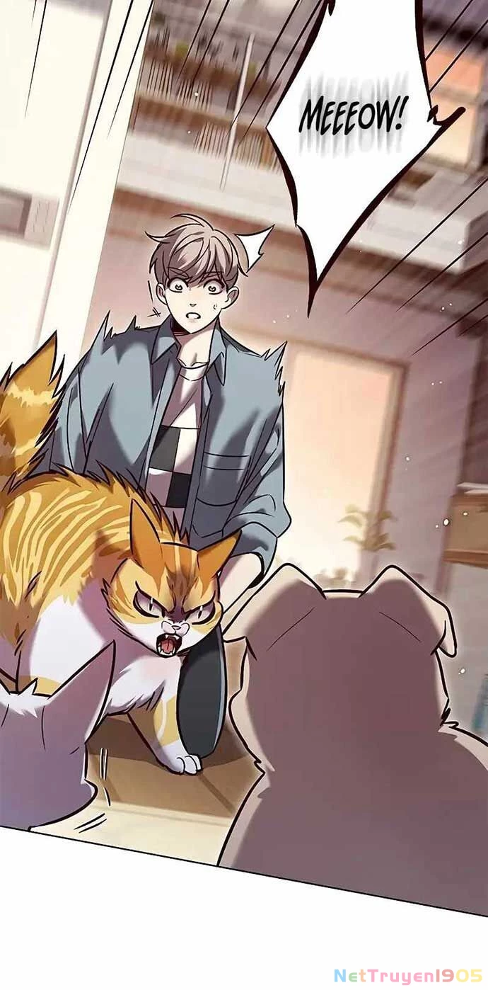 Cô Dâu Của Sói Trắng Chapter 323 - 45