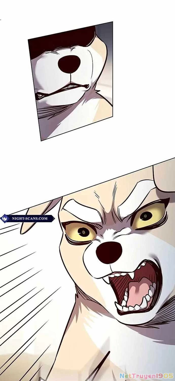 Cô Dâu Của Sói Trắng Chapter 323 - 68