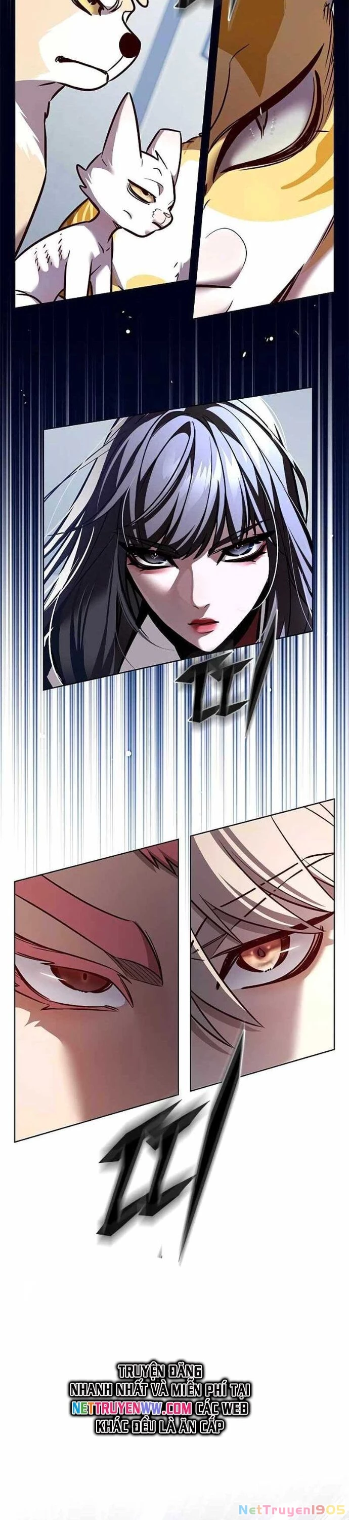 Cô Dâu Của Sói Trắng Chapter 324 - 19