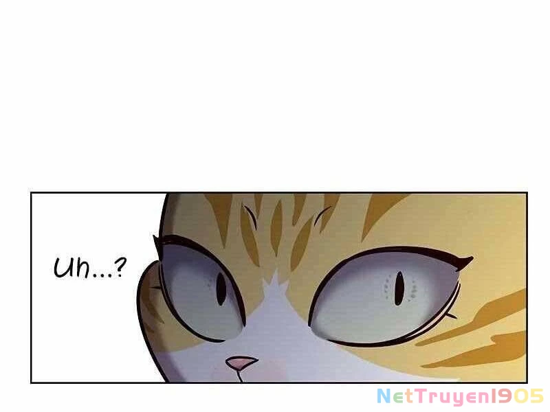 Cô Dâu Của Sói Trắng Chapter 325 - 54