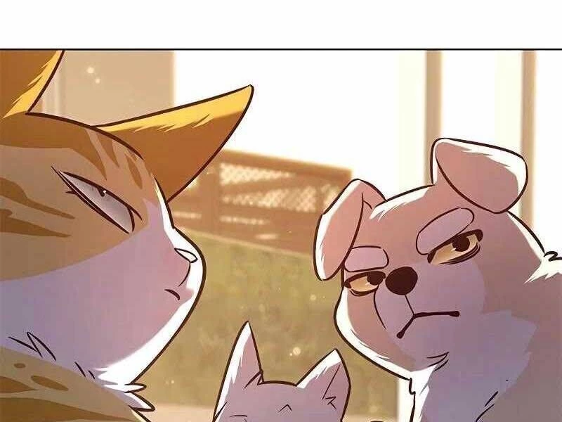 Cô Dâu Của Sói Trắng Chapter 325 - 81