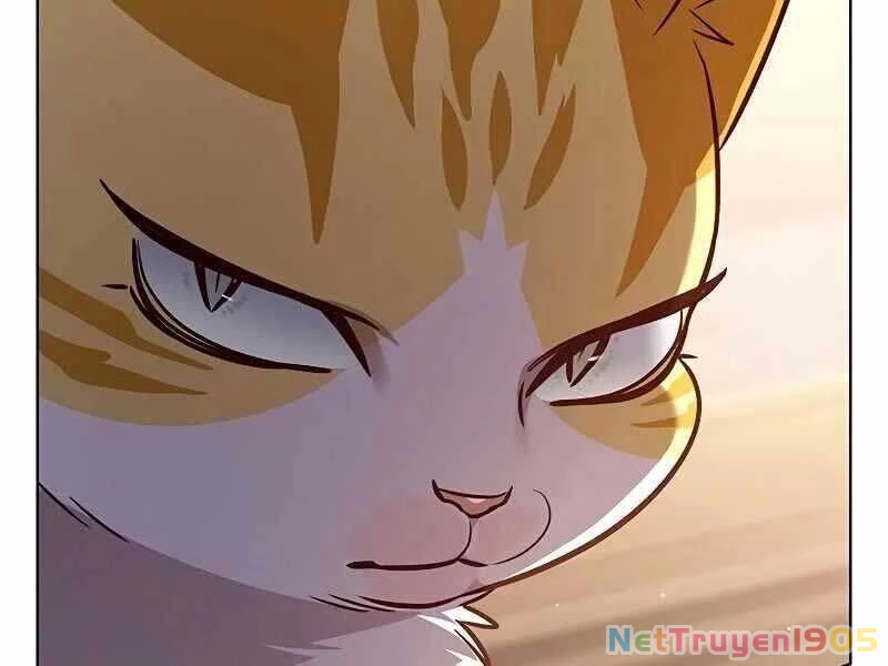 Cô Dâu Của Sói Trắng Chapter 325 - 103