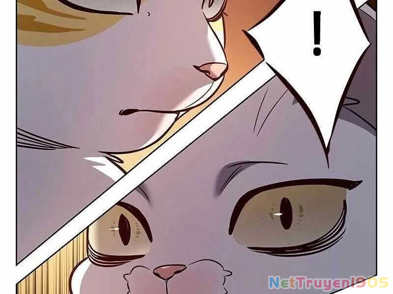 Cô Dâu Của Sói Trắng Chapter 325 - 115