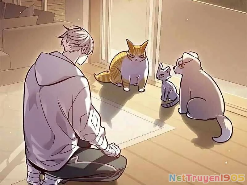 Cô Dâu Của Sói Trắng Chapter 325 - 122