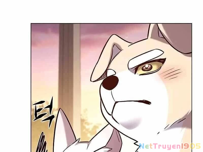 Cô Dâu Của Sói Trắng Chapter 325 - 133