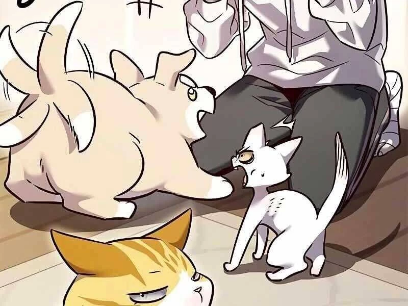 Cô Dâu Của Sói Trắng Chapter 325 - 199