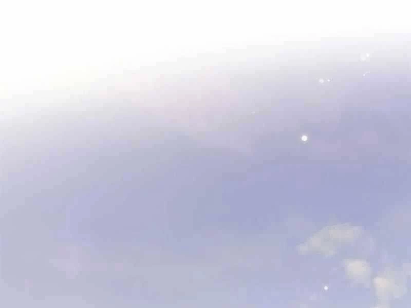 Cô Dâu Của Sói Trắng Chapter 325 - 206