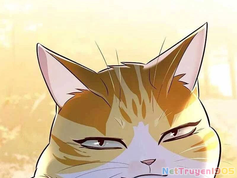 Cô Dâu Của Sói Trắng Chapter 325 - 228