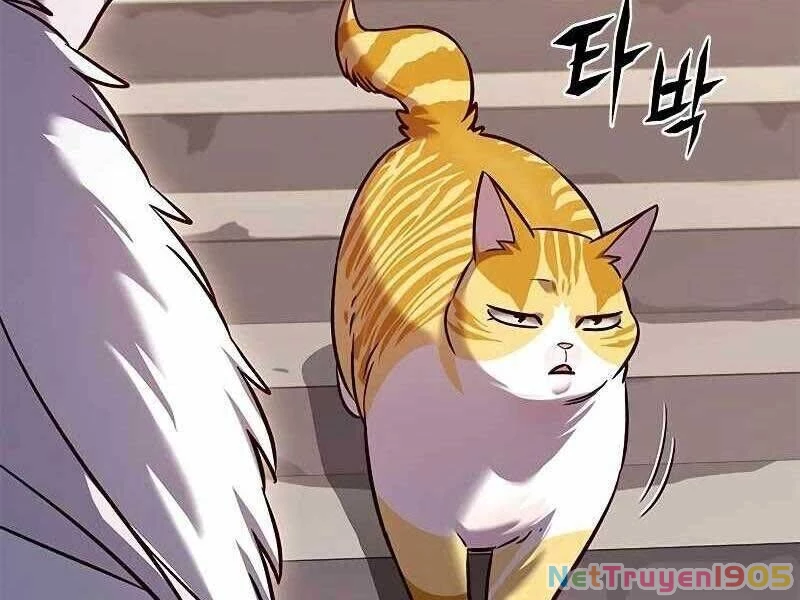 Cô Dâu Của Sói Trắng Chapter 325 - 235