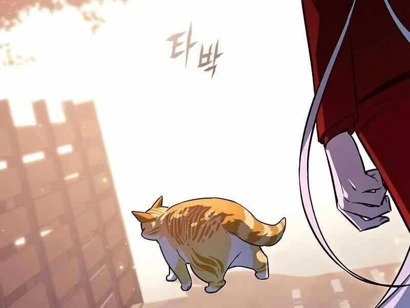 Cô Dâu Của Sói Trắng Chapter 325 - 250