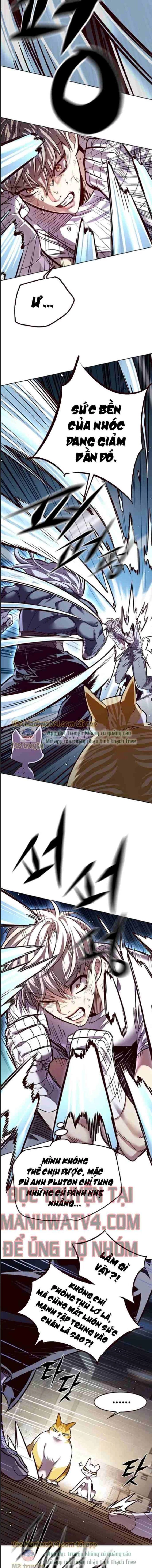 Cô Dâu Của Sói Trắng Chapter 328 - 12