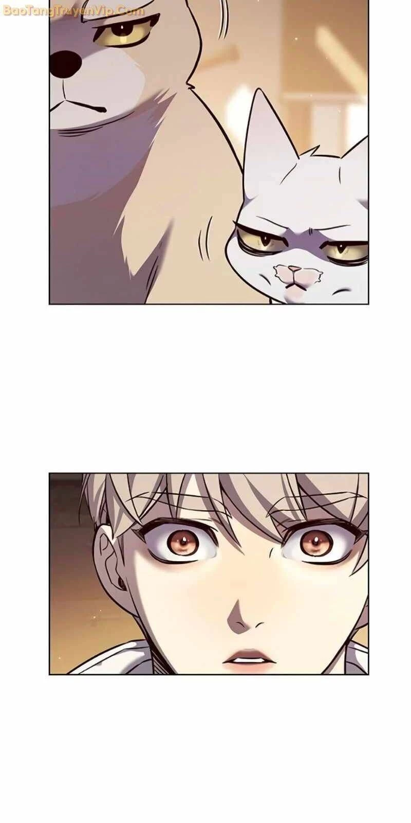 Cô Dâu Của Sói Trắng Chapter 329 - 26