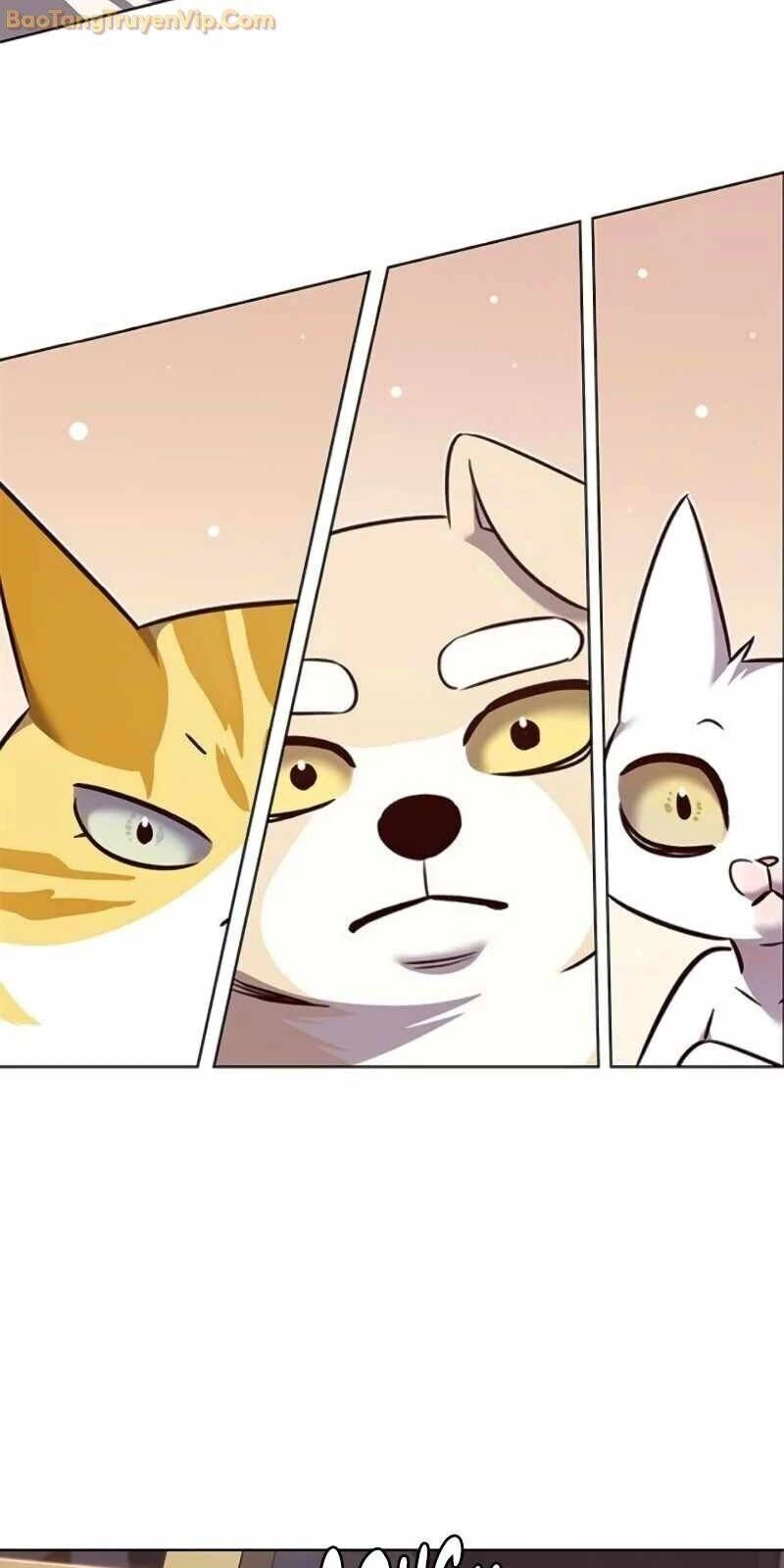 Cô Dâu Của Sói Trắng Chapter 329 - 29