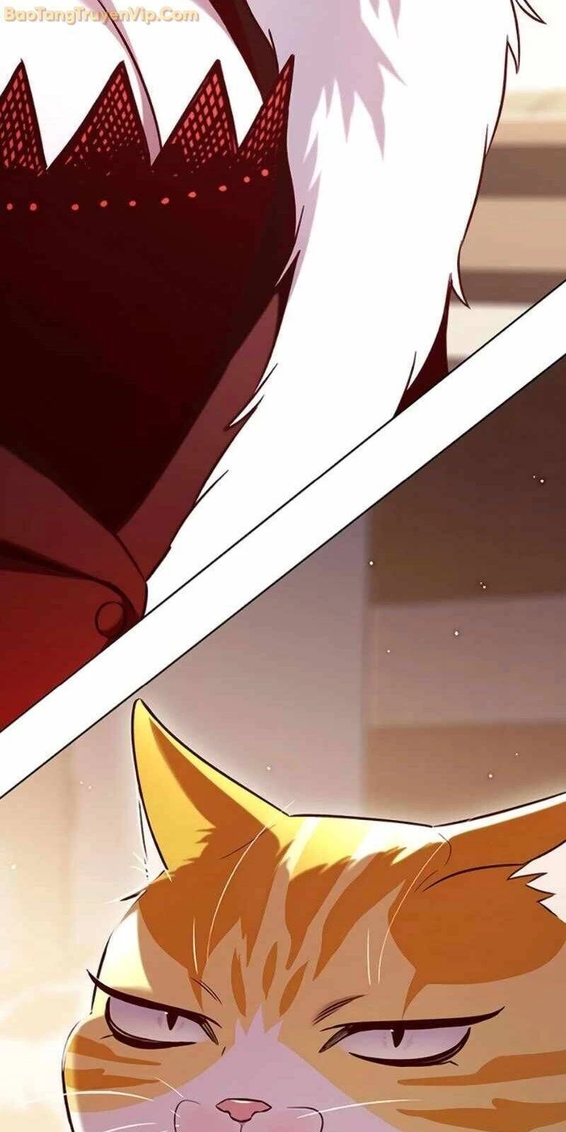 Cô Dâu Của Sói Trắng Chapter 329 - 68