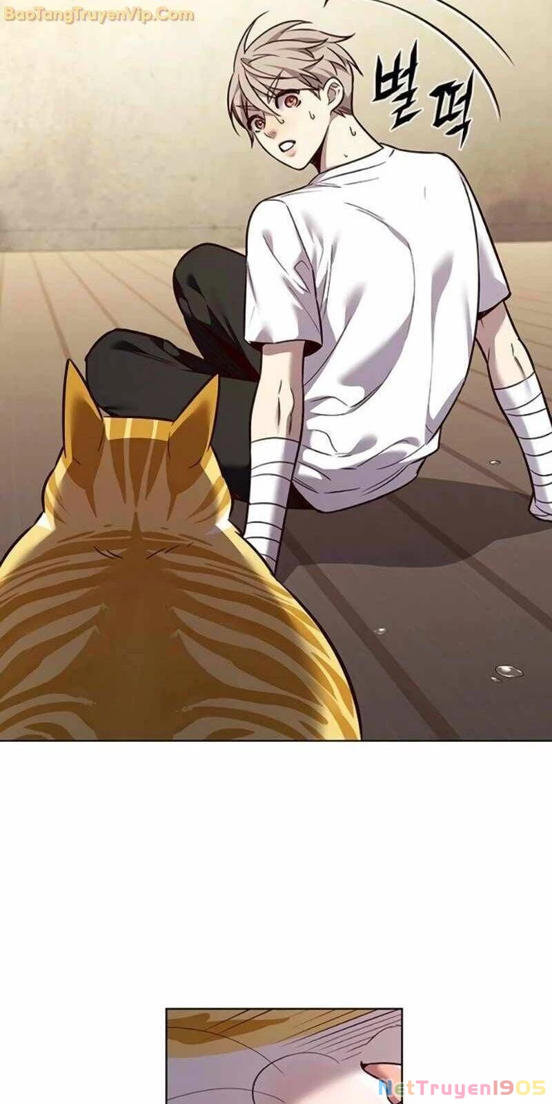 Cô Dâu Của Sói Trắng Chapter 329 - 95