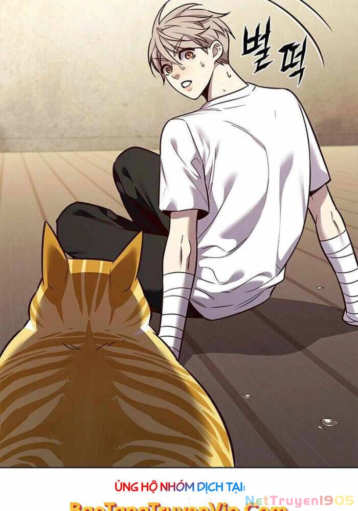 Cô Dâu Của Sói Trắng Chapter 330 - 7