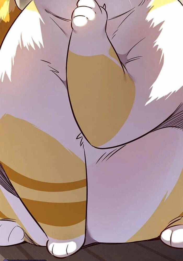 Cô Dâu Của Sói Trắng Chapter 330 - 9