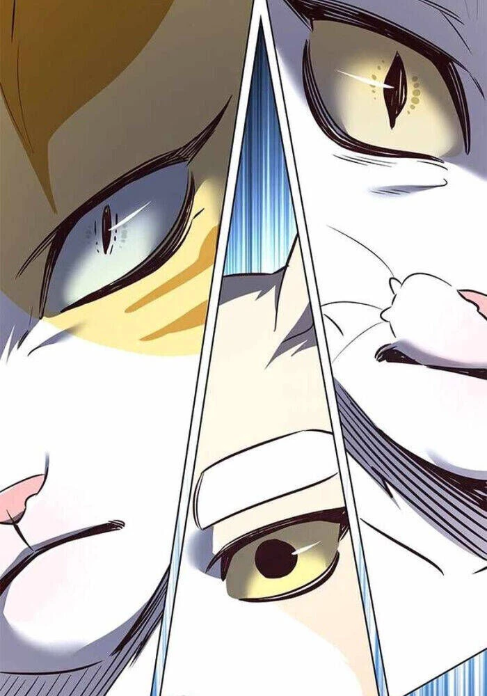 Cô Dâu Của Sói Trắng Chapter 330 - 53