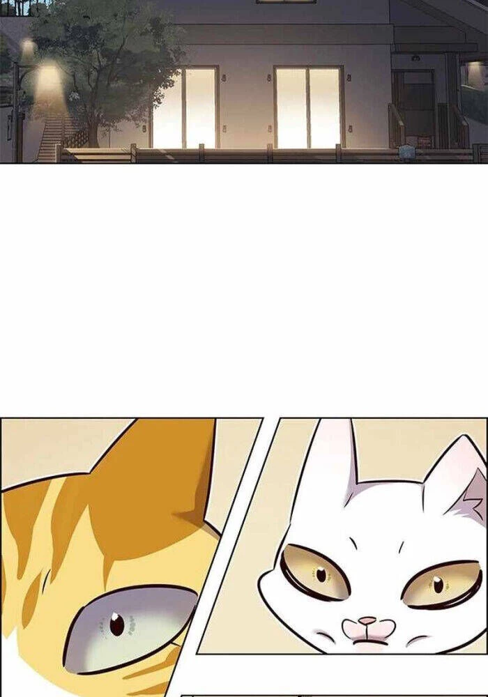 Cô Dâu Của Sói Trắng Chapter 330 - 56