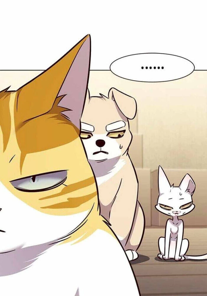 Cô Dâu Của Sói Trắng Chapter 330 - 63