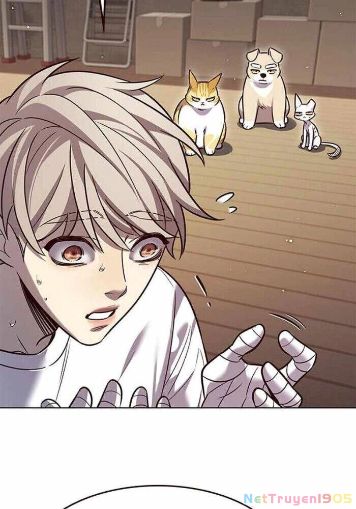 Cô Dâu Của Sói Trắng Chapter 330 - 66