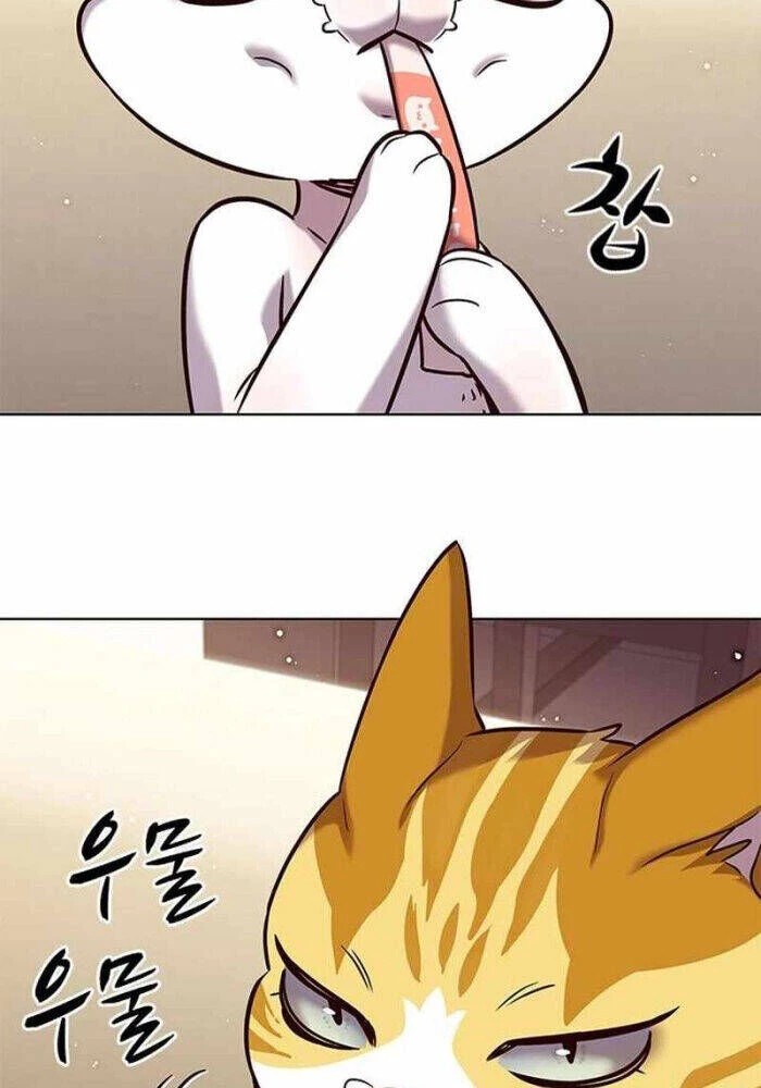 Cô Dâu Của Sói Trắng Chapter 330 - 97