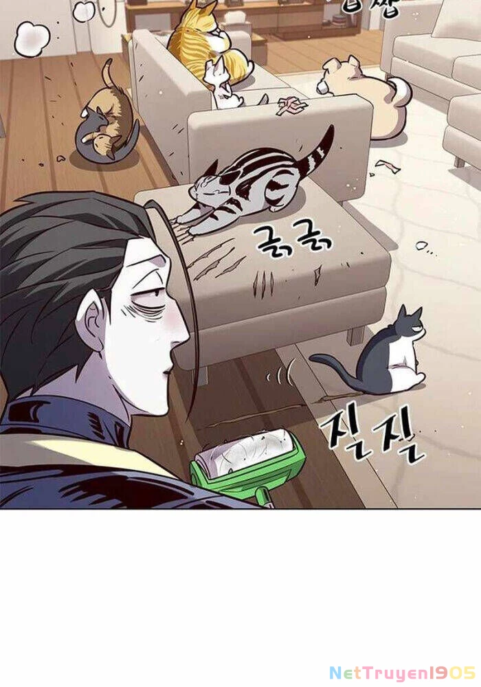 Cô Dâu Của Sói Trắng Chapter 330 - 103