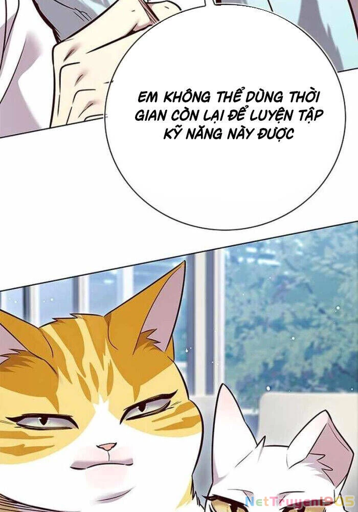 Cô Dâu Của Sói Trắng Chapter 330 - 114