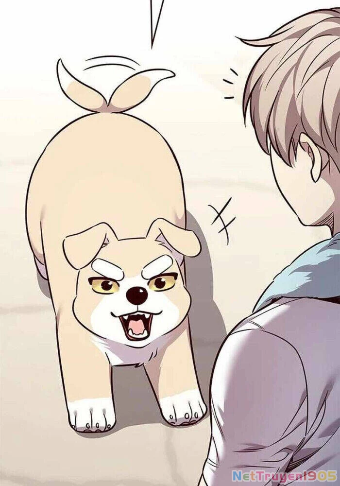 Cô Dâu Của Sói Trắng Chapter 330 - 116