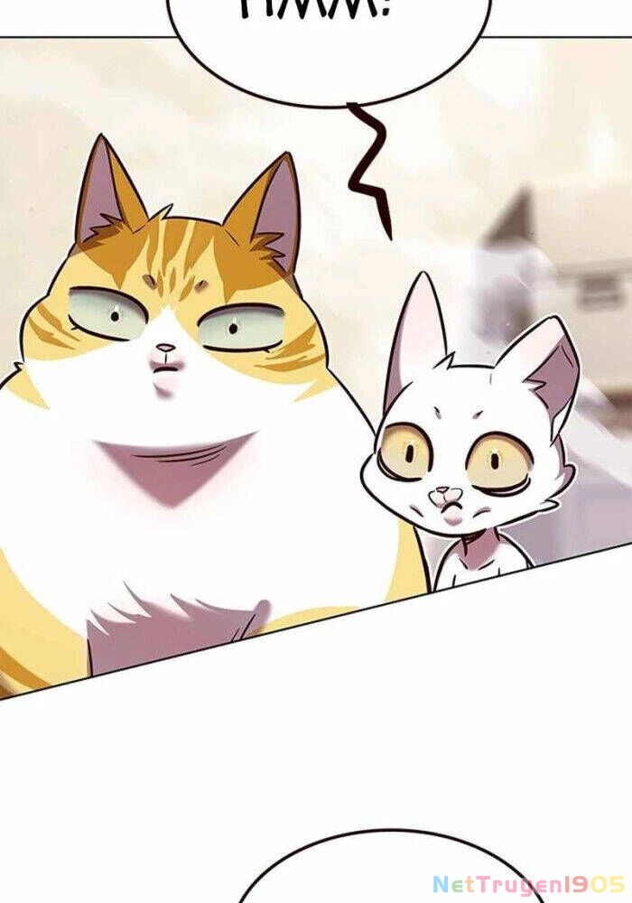Cô Dâu Của Sói Trắng Chapter 330 - 150