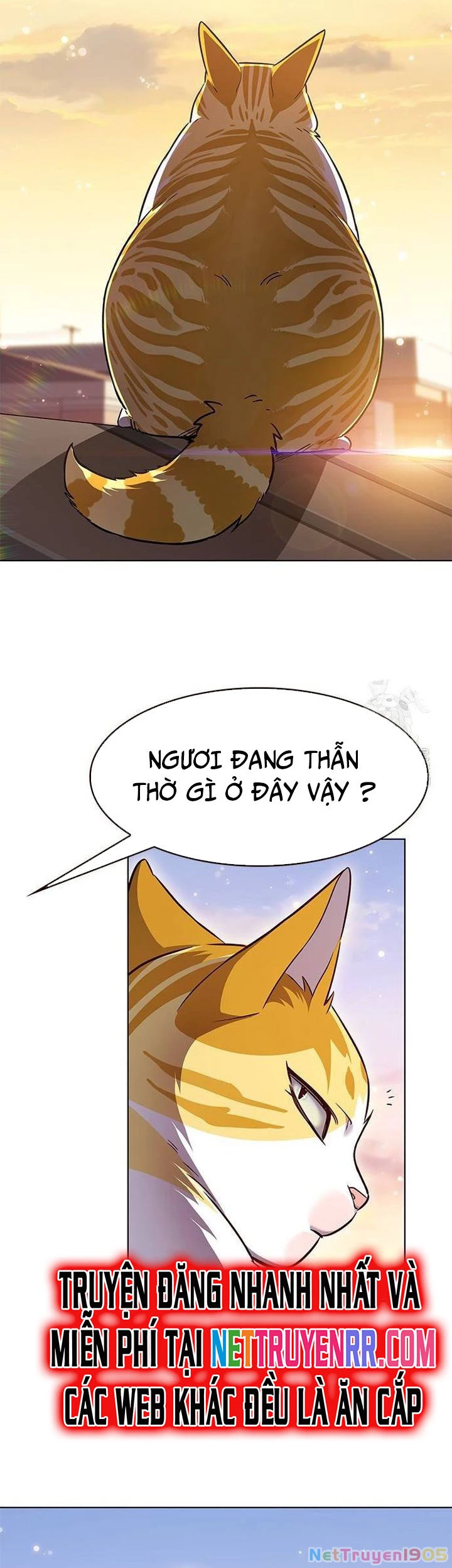 Cô Dâu Của Sói Trắng Chapter 336 - 42