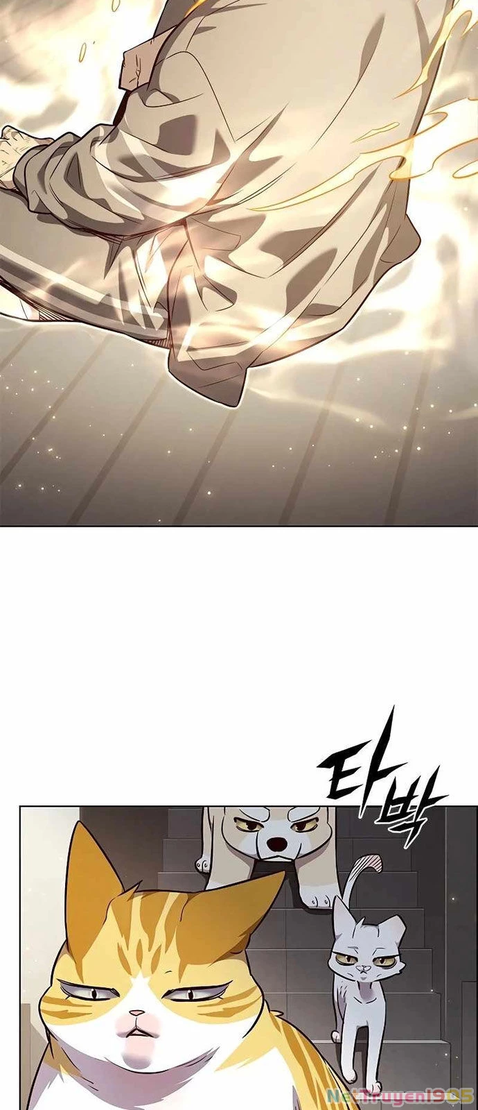 Cô Dâu Của Sói Trắng Chapter 337 - 27