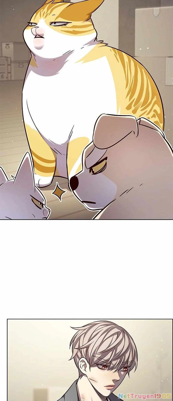 Cô Dâu Của Sói Trắng Chapter 337 - 32