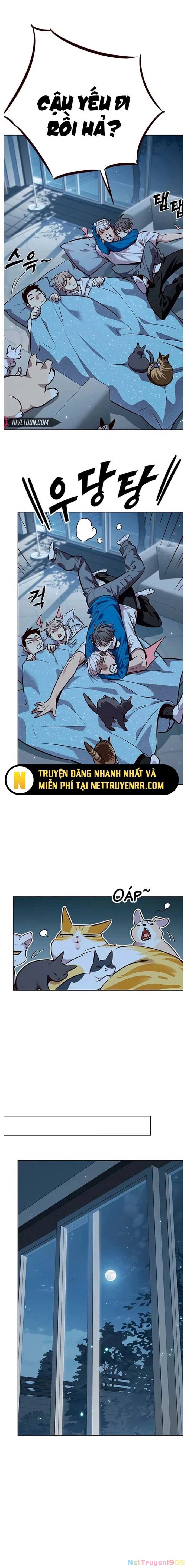 Cô Dâu Của Sói Trắng Chapter 345 - 10