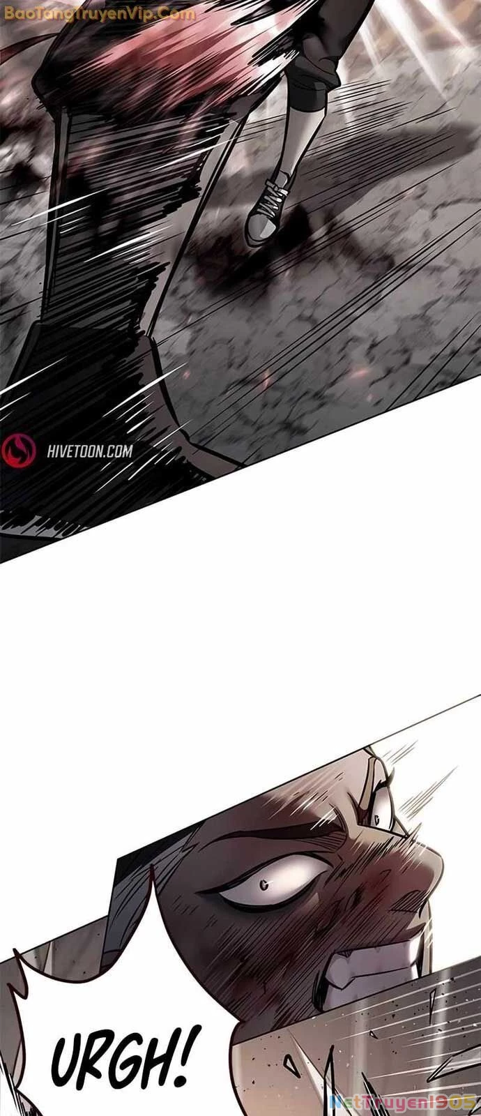 Cô Dâu Của Sói Trắng Chapter 350 - 11