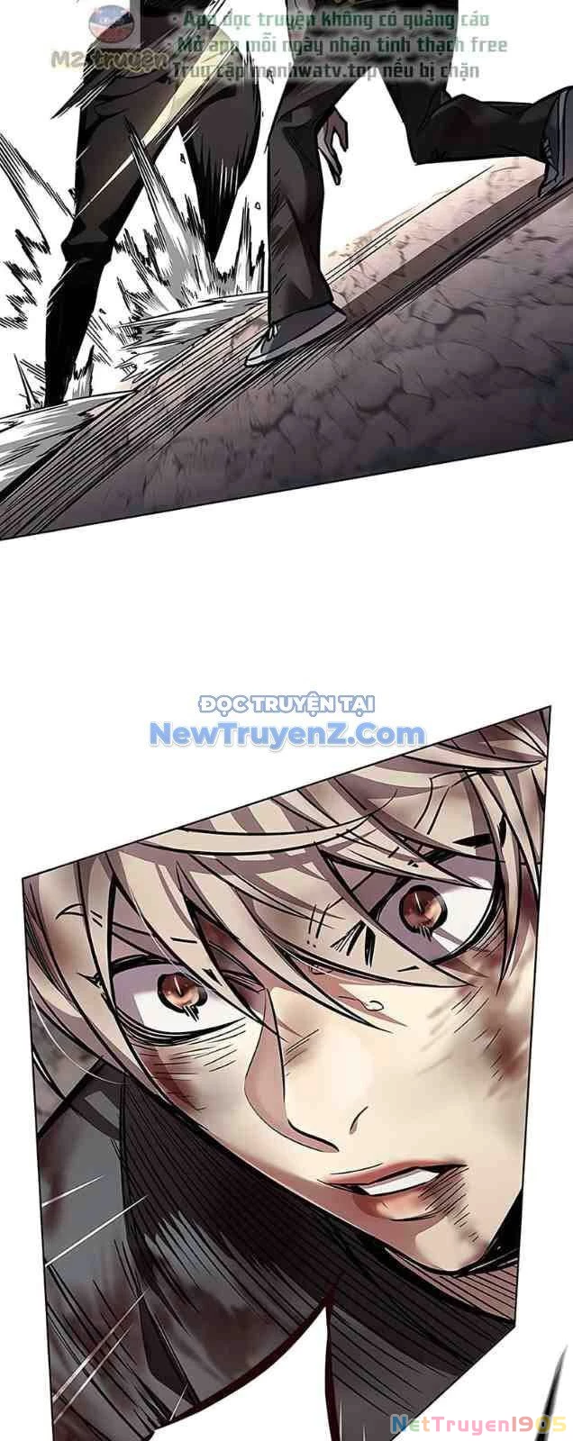 Cô Dâu Của Sói Trắng Chapter 352 - 44