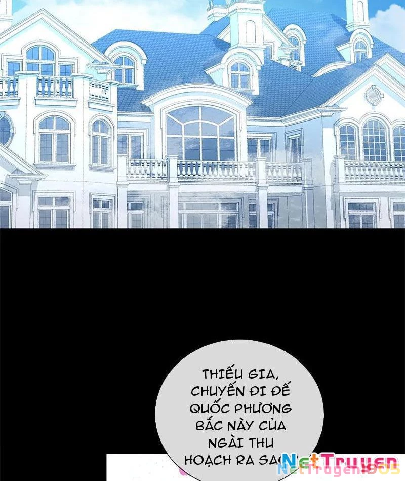 Ta Thành Vương Giả Từ Khắc Kim Chapter 34 - 31