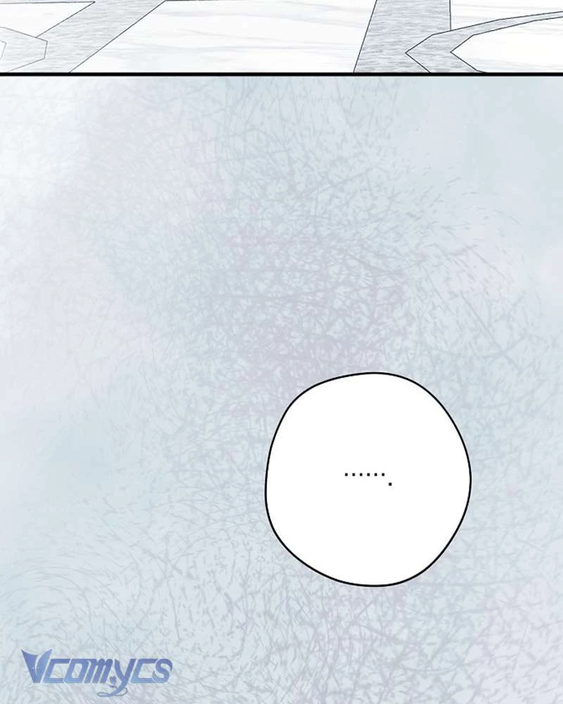 Các Nam Chính Đã Bị Nữ Phụ Cướp Mất Chapter 51 - Trang 2