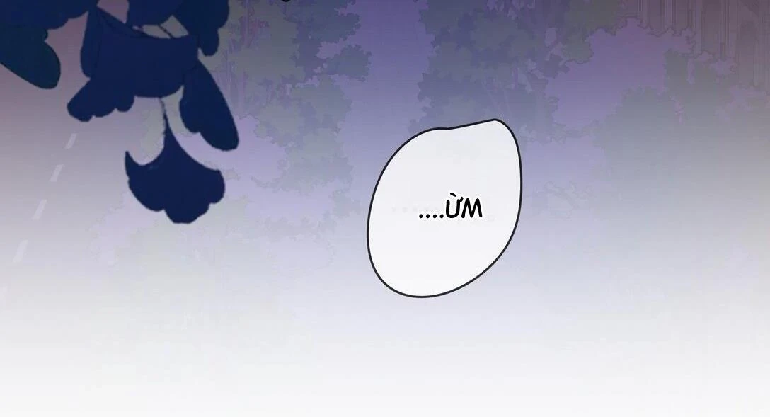 Gió Lớn Hôn Ánh Trăng Chapter 26 - 18