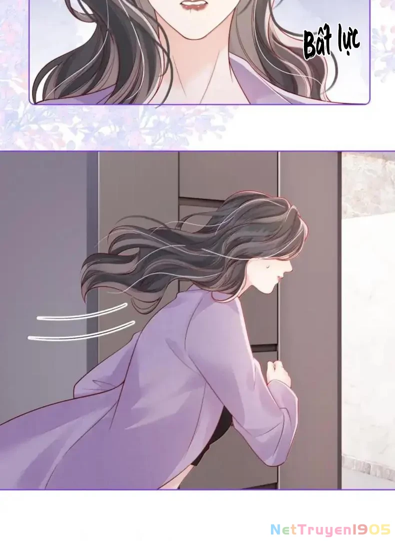 Gió Lớn Hôn Ánh Trăng Chapter 52 - 43