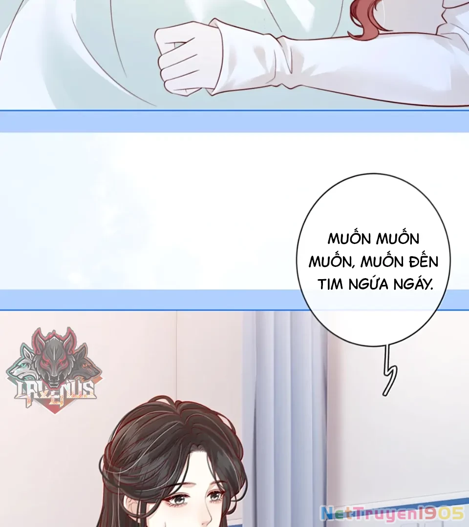 Gió Lớn Hôn Ánh Trăng Chapter 54 - 30