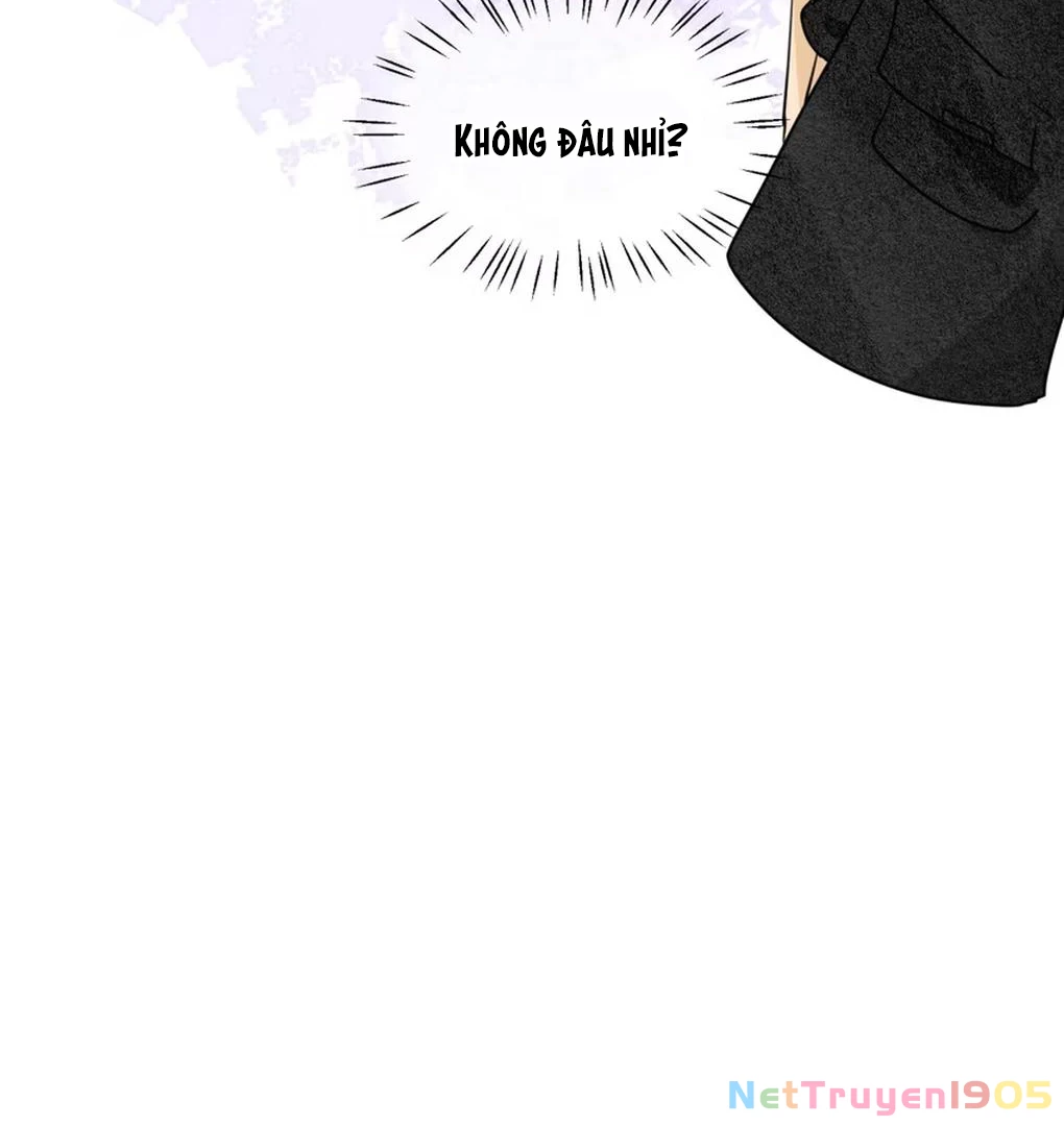 Đại Lão, Đầu Cô Lại Rớt Rồi Kìa! Chapter 4 - 11