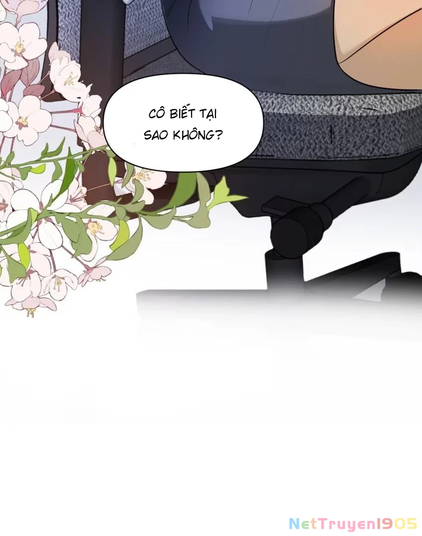 Đại Lão, Đầu Cô Lại Rớt Rồi Kìa! Chapter 4 - 32